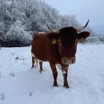 דירה Zerko Marjetka With Wellness Bookable Separately