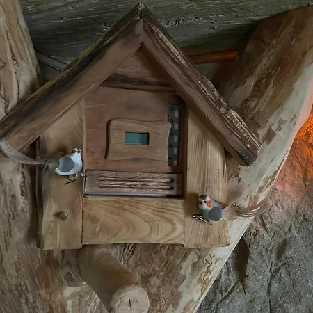 Zerko Marjetka With Wellness Bookable Separately Appartement