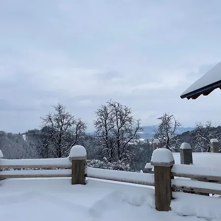 Zerko Marjetka With Wellness Bookable Separately 公寓 *