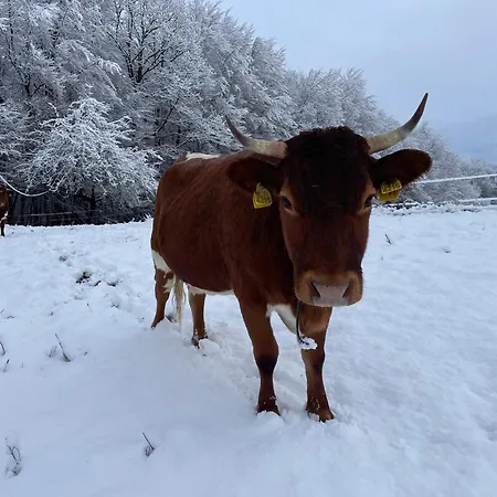 Апартаменты Zerko Marjetka With Wellness Bookable Separately