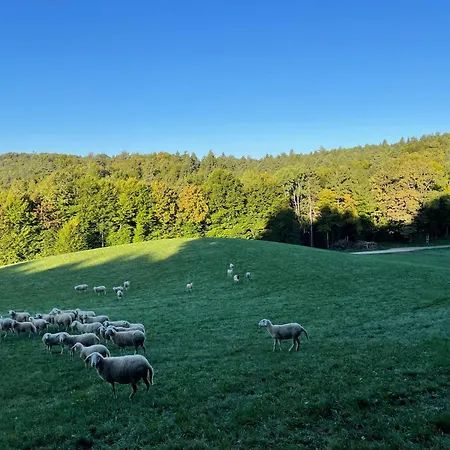 Zerko Marjetka With Wellness Bookable Separately Апартаменты