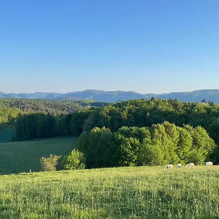 Апартаменты Zerko Marjetka With Wellness Bookable Separately