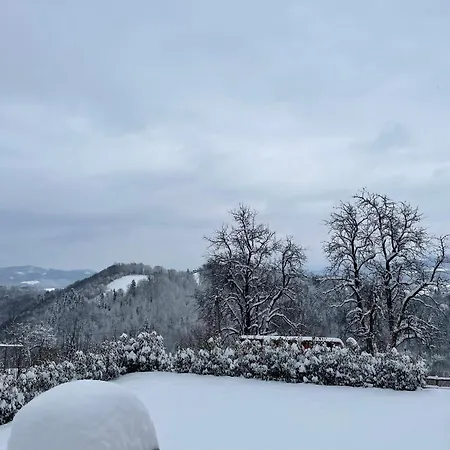 Zerko Marjetka With Wellness Bookable Separately Apartament Mirna