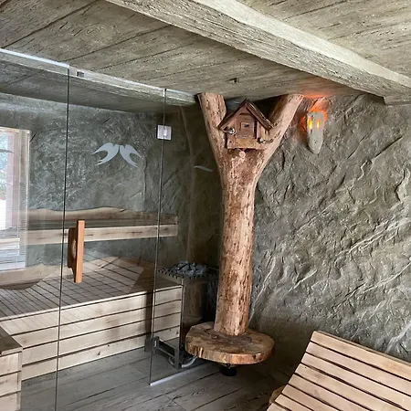 Zerko Marjetka With Wellness Bookable Separately Апартаменты Mirna