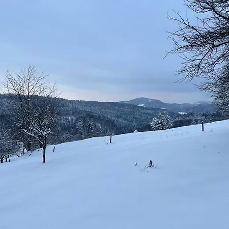 Апартаменты Zerko Marjetka With Wellness Bookable Separately