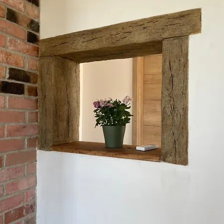 Zerko Marjetka With Wellness Bookable Separately Апартаменты Mirna