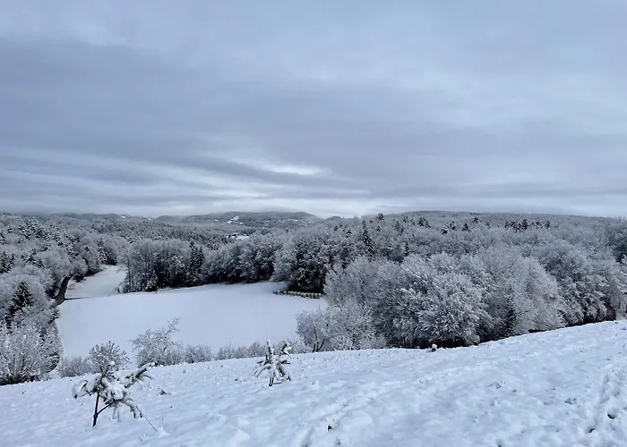 Apartament Zerko Marjetka With Wellness Bookable Separately