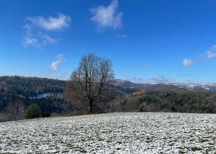 Zerko Marjetka With Wellness Bookable Separately Mirna