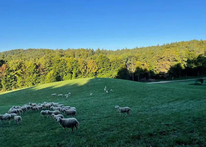 Zerko Marjetka With Wellness Bookable Separately Apartamento