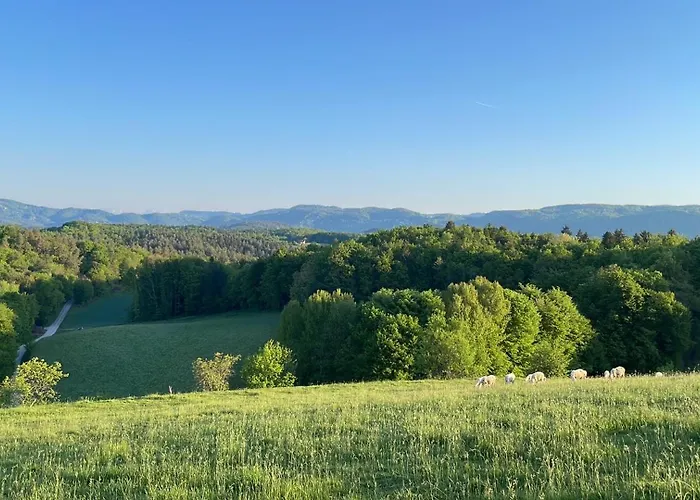 Appartement Zerko Marjetka With Wellness Bookable Separately