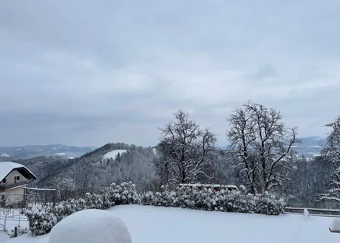 Zerko Marjetka With Wellness Bookable Separately Appartement Mirna