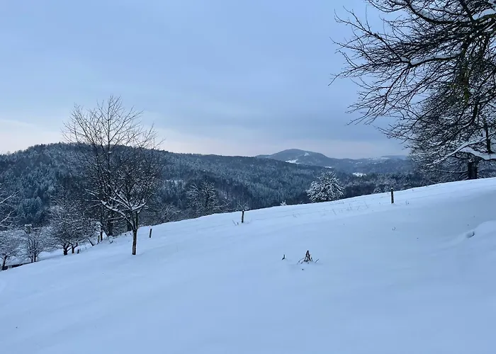 Appartement Zerko Marjetka With Wellness Bookable Separately