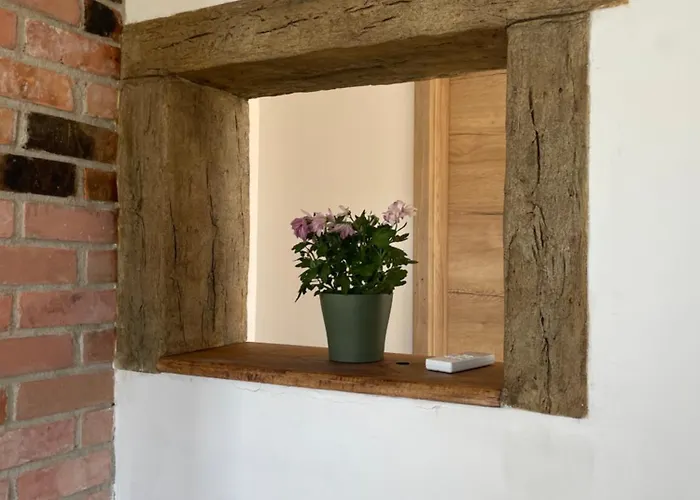 Zerko Marjetka With Wellness Bookable Separately Apartament Mirna